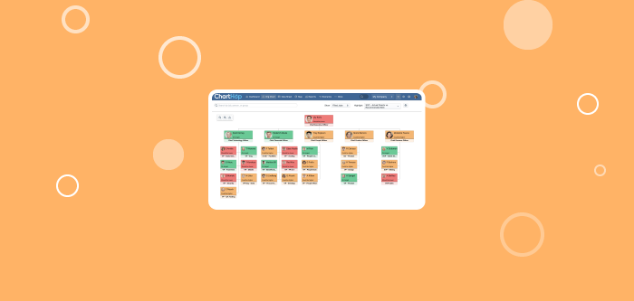 Organizational Structure types you should know (and why they matter) 